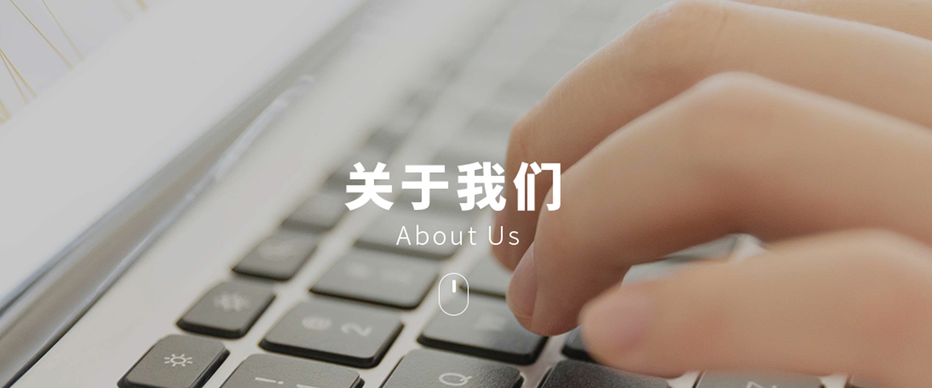 关于上海乔枫